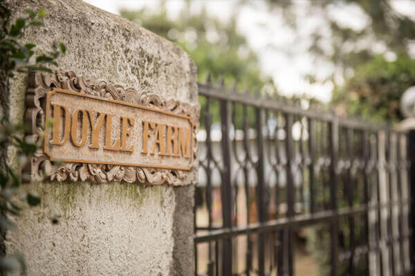 Doyle-Farm-Rafiki-Mwema
