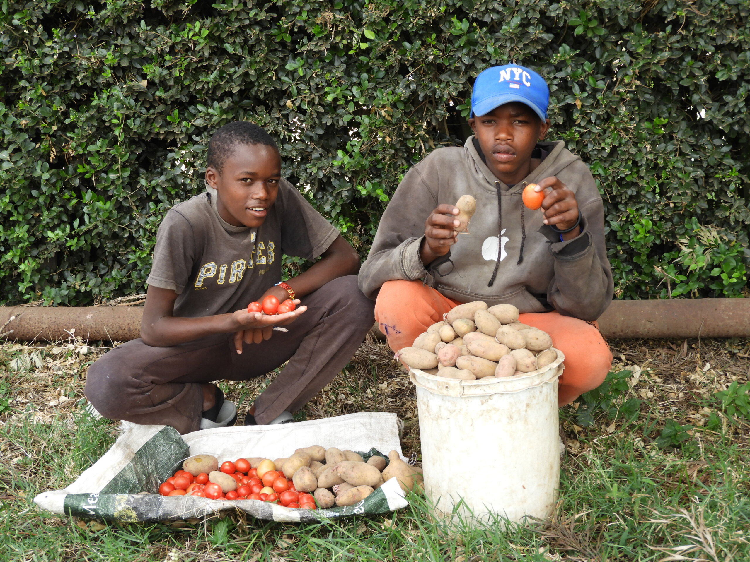 Doyle Farm Crops