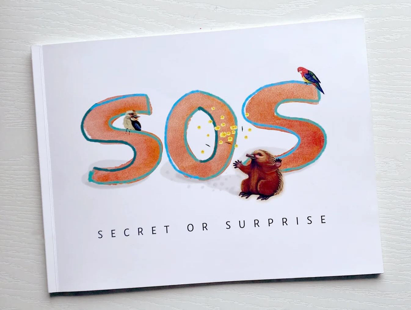Secret_or_surprise_book