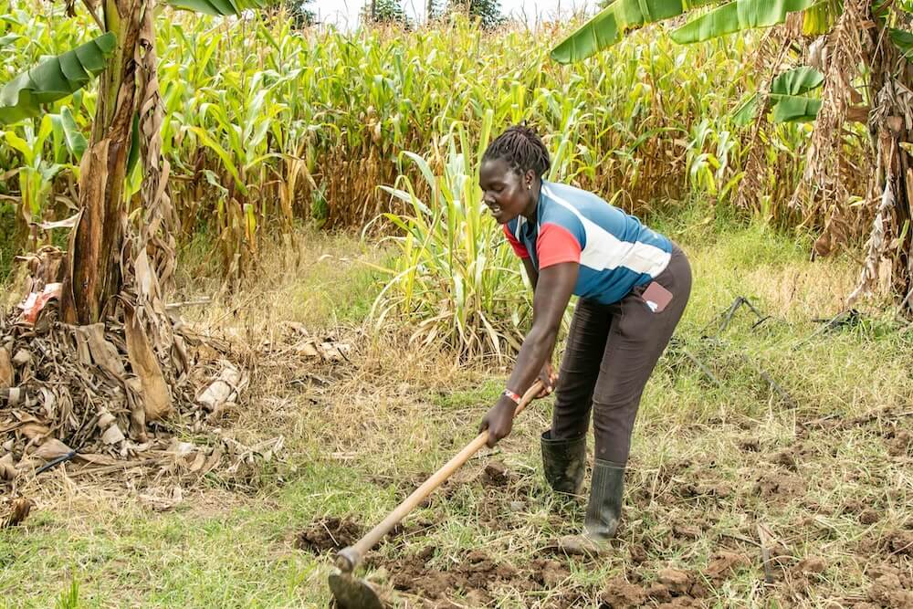 Food farm at Doyle Farm Rafiki Mwema