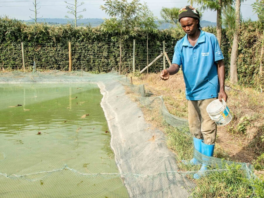 Fish pond Doyle Farm